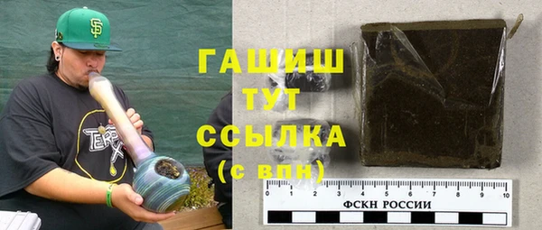 стаф Богданович