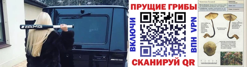 Псилоцибиновые грибы ЛСД kraken ТОР Сольцы